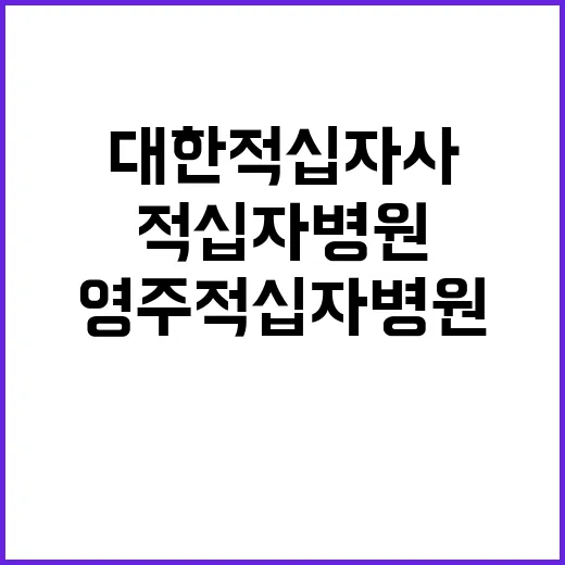 [영주적십자병원] 계약직[간호사,간호조무사,고령직 간호조무사,임상병리사,시설관리,취사원] 직원 공개채용 공고