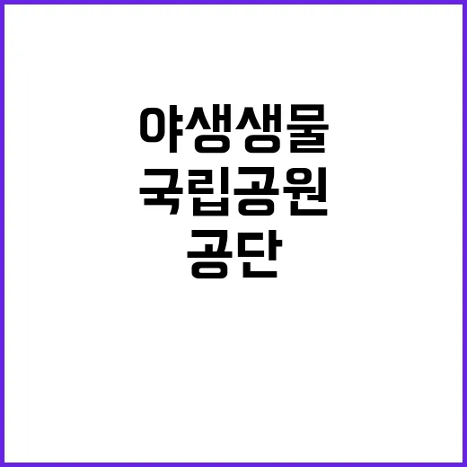 국립공원공단 무기계…