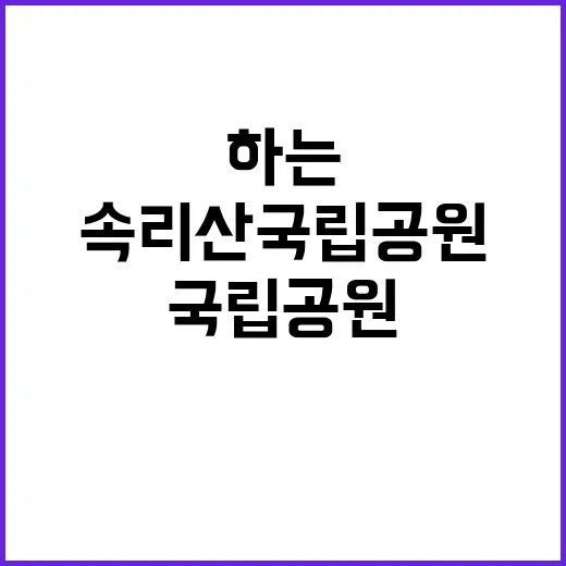 국립공원공단 비정규…