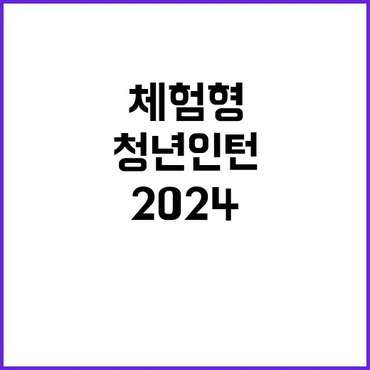 2024년 하반기 체험형 청년인턴 채용 공고