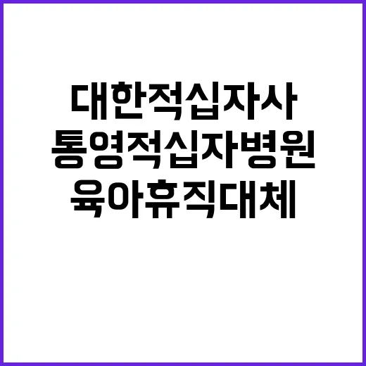 대한적십자사 비정규…