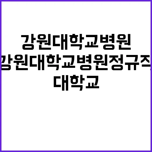 강원대학교병원 정규…