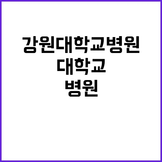 강원대학교병원 정규…