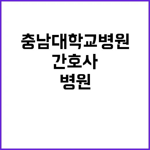 [대전본원] 충남대학교병원 2024년 권역호스피스센터 보조금계약직 직원 채용공고 (상시) 【채용분야 : 간호사】