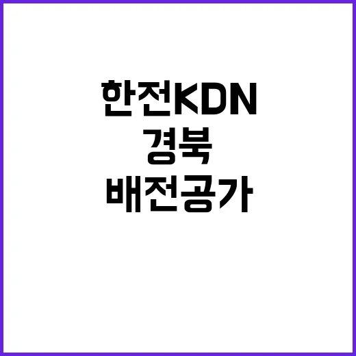 한전KDN(주) 경북사업처 배전공가 분야 일용근로자 모집공고(재공고)