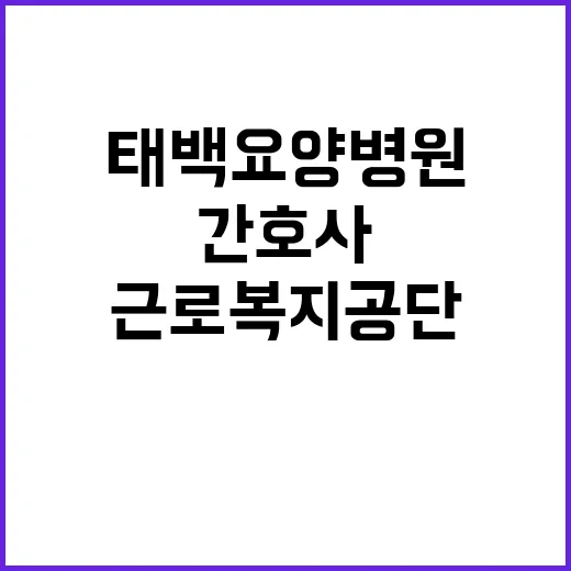 [태백요양병원] 의료직6급(간호사) 채용 공고