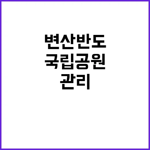 국립공원공단 비정규…