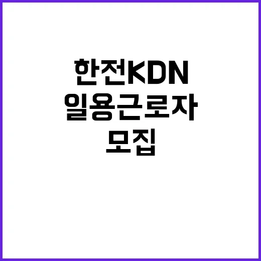 한전KDN 강원사업처 배전공가 시설내역조사 일용근로자 모집공고