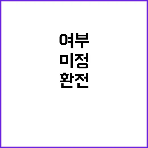 환전 허용 여부 기재부의 결정 아직 미정!