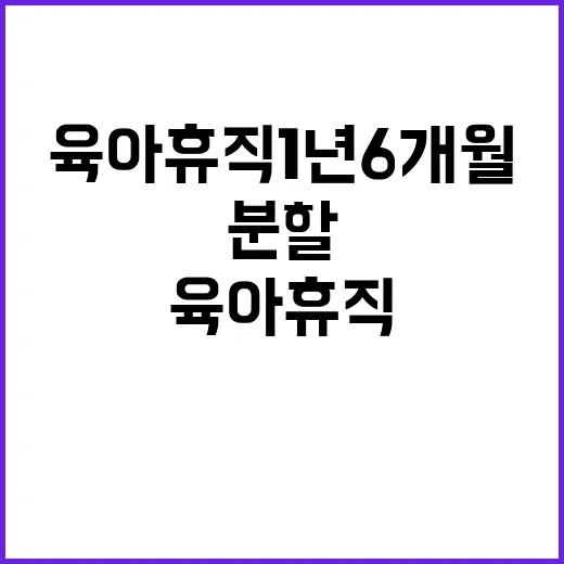 육아휴직 1년 6개월 4회 분할 가능!