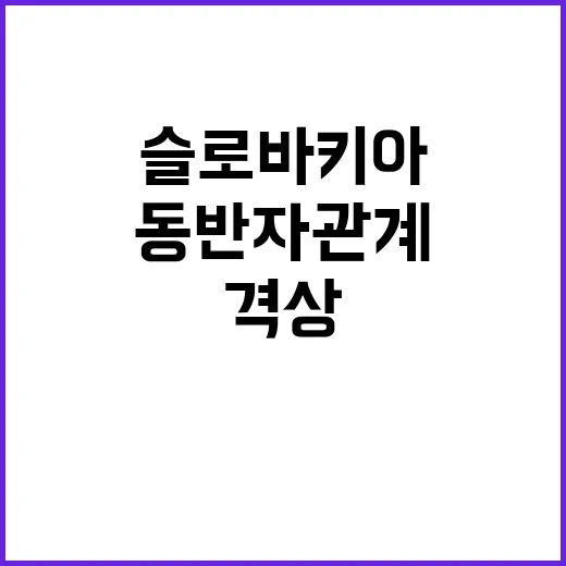 한슬로바키아 동반자…