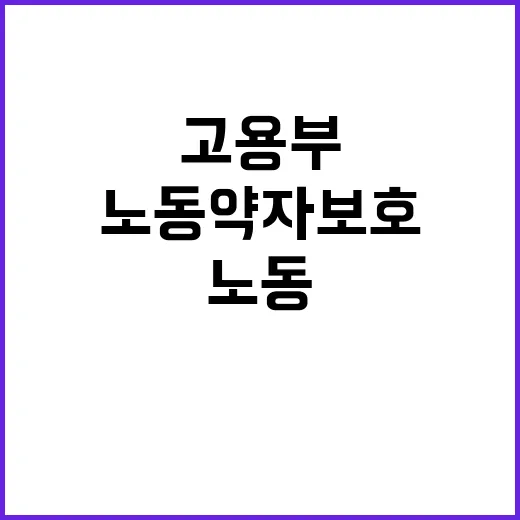 노동약자 보호 고용…