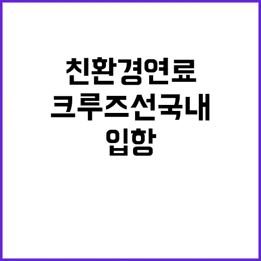 친환경연료 크루즈선 국내 최초 입항 소식!