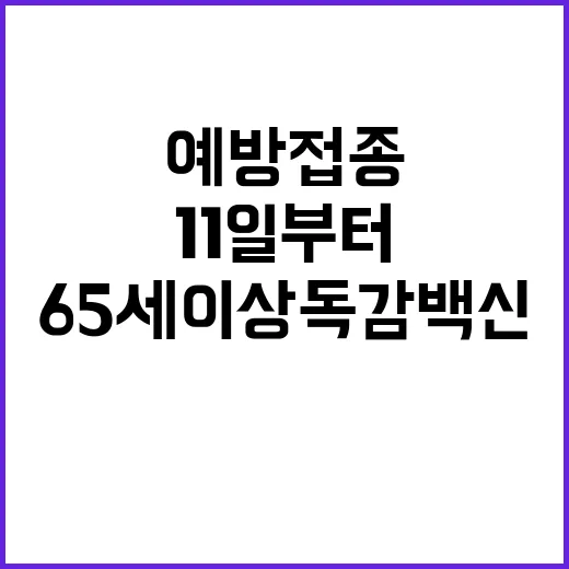 예방접종 11일부터 65세 이상 독감 백신 권장!