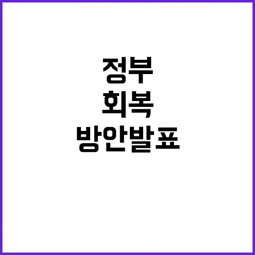 경제 회복 정부의 …