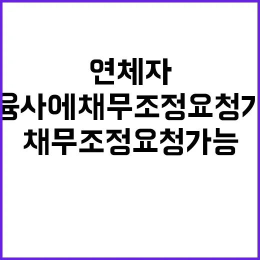 연체자 내일부터 금융사에 채무조정 요청 가능!