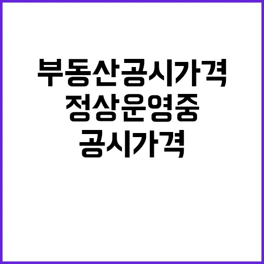 부동산공시가격 정상…