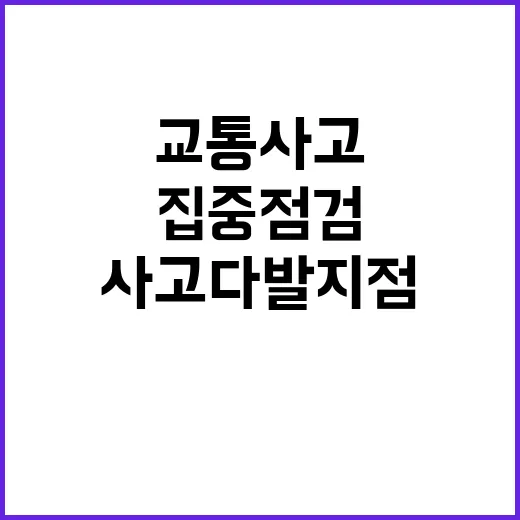 어린이·노인 교통사…