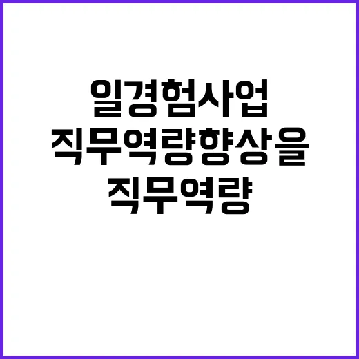 일경험 사업 직무역…