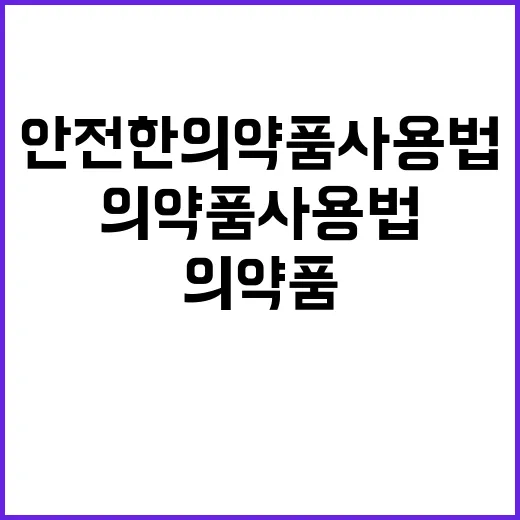 임신부 건강 안전한…