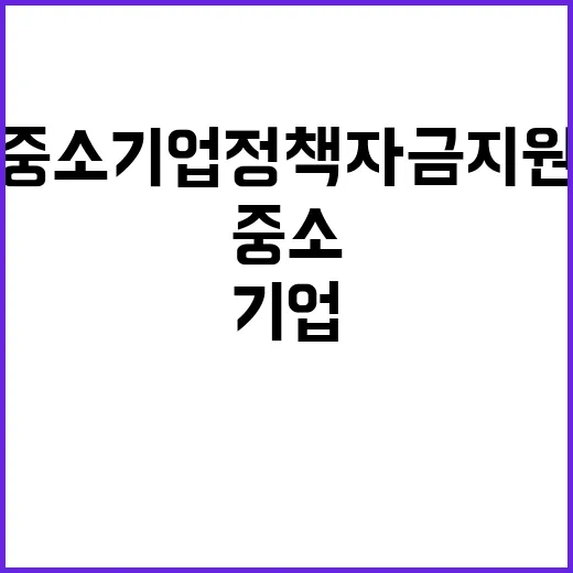 중소기업 정책자금 …