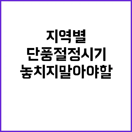 단풍 절정 시기 지…