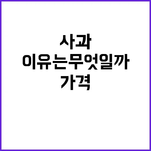 사과 가격 평년보다 낮은 이유는 무엇일까?