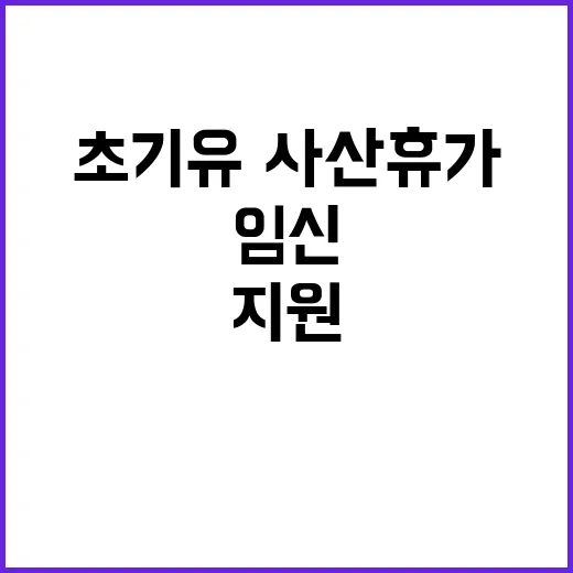 임신초기 유·사산휴…