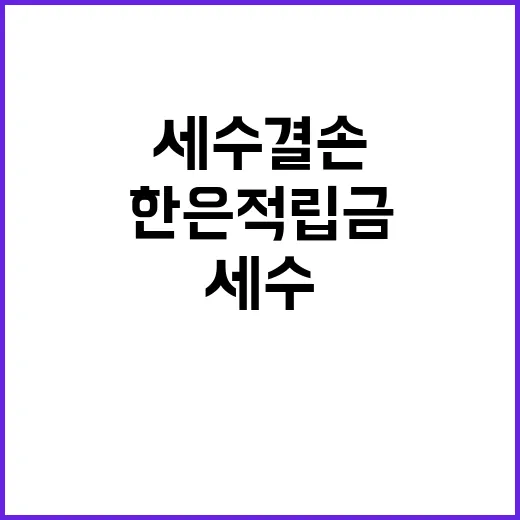 기재부 “한은 적립…