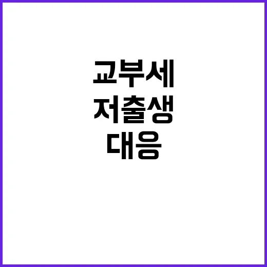 지방교부세 저출생·지방소멸 위기 대응 방안!