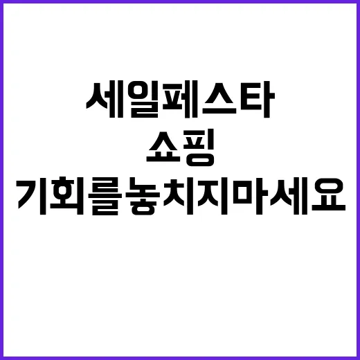 세일페스타 당신의 …