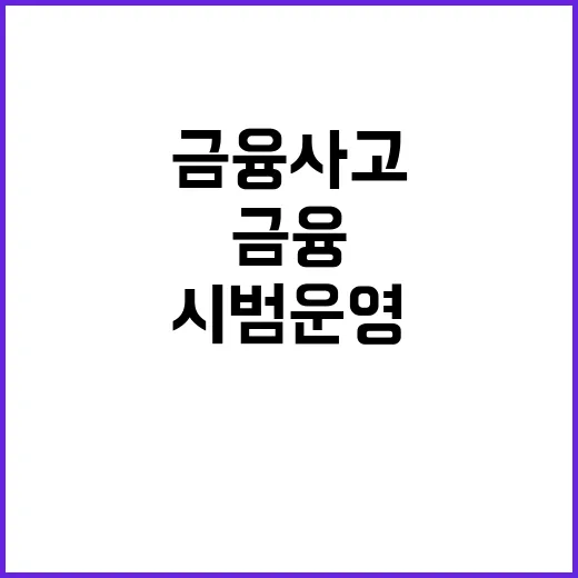 금융사고 방지 18개 기관 시범 운영 참여!