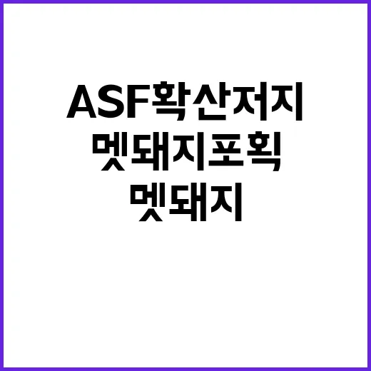 멧돼지 포획 자원 집중…ASF 확산 저지의 비책!