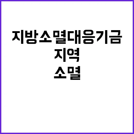 지방소멸대응기금 지역 발전의 희망이 될까?