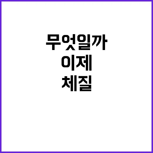 경제 체질 이제 더…