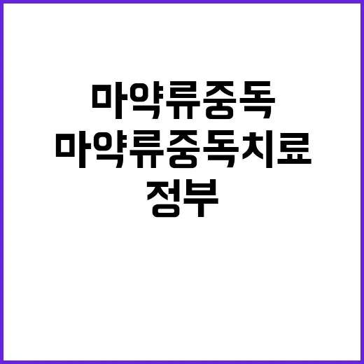 마약류 중독치료 정…