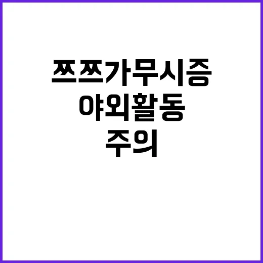 쯔쯔가무시증 급증……