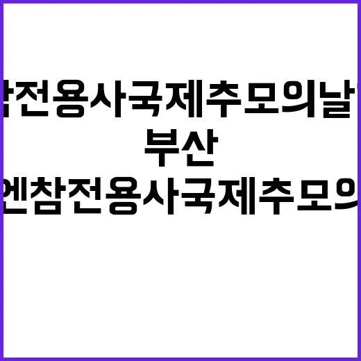 부산 유엔참전용사 …