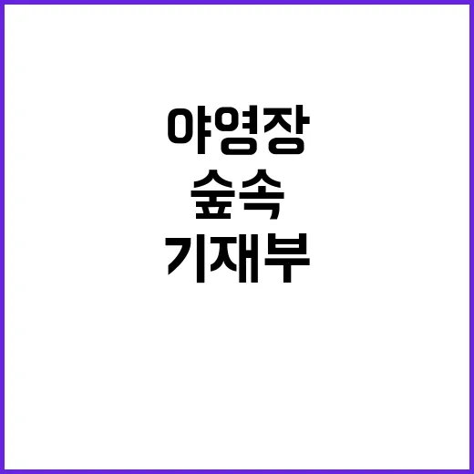 숲속 야영장 확대?…