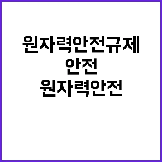 원자력 안전규제 국제 기준과의 비교 분석 시작!