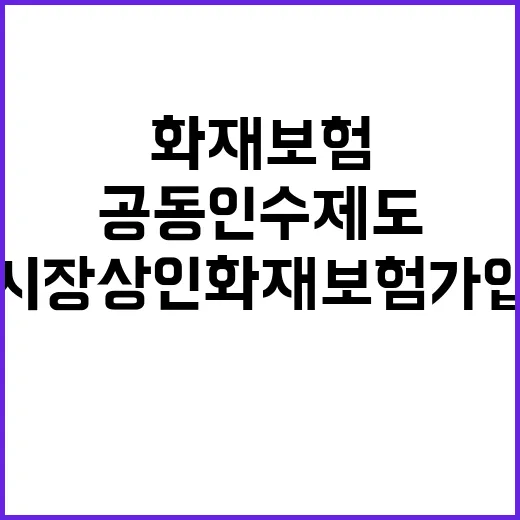 공동인수제도 시장 …