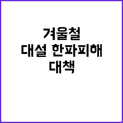 겨울철 대책기간 대설·한파 피해 막기 위한 방법!