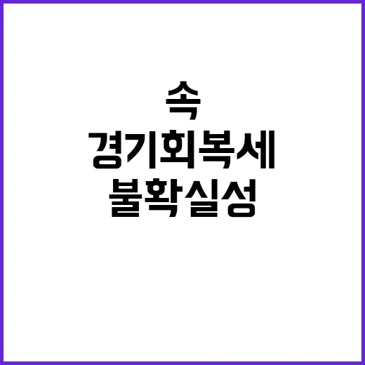 ‘경기회복세’ 불확…