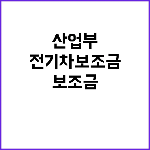 전기차 보조금 산업…