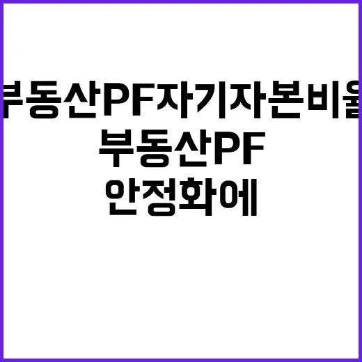 부동산 PF 자기자…