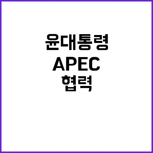 APEC 윤 대통령…