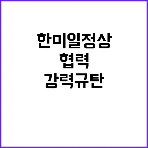 한미일 정상 불법 …