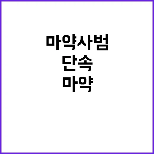 마약사범 작년 2만…