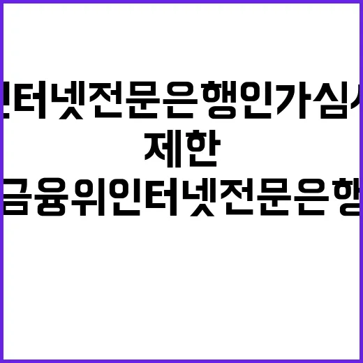 금융위 “인터넷전문…