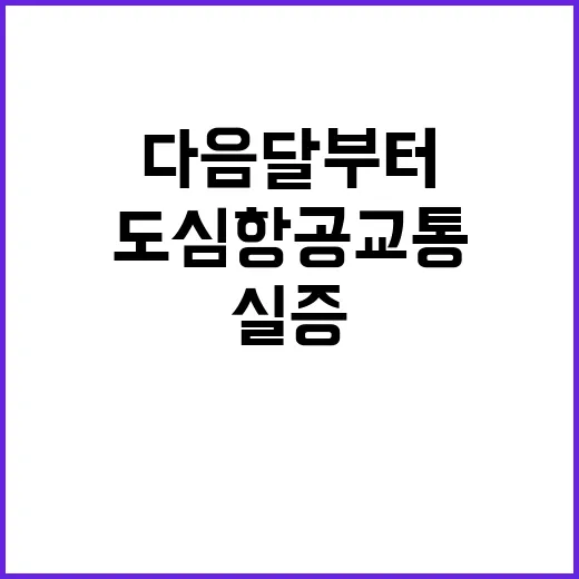 도심항공교통 다음 …